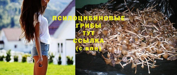 мяу мяу мука Алексин