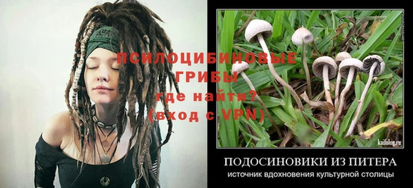 крисы Алексеевка