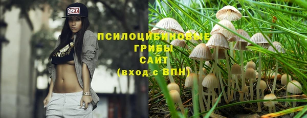 СК Абдулино